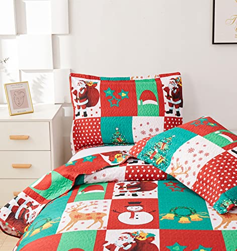 CHESITY Christmas Quilts Set Queen Size