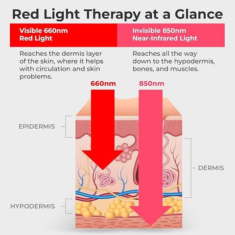 Lifepro Red Light Therapy Belt