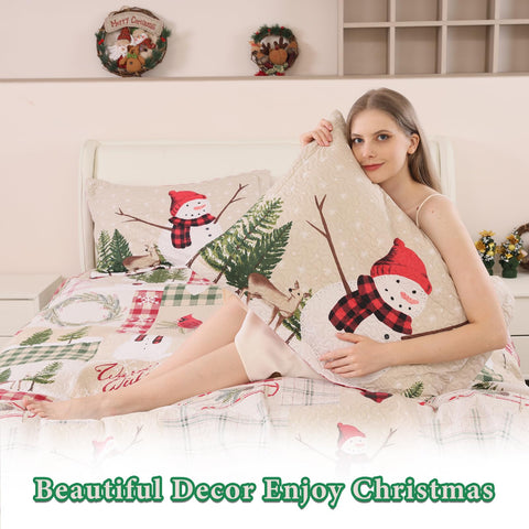 CHESITY Christmas Quilts Set Queen Size