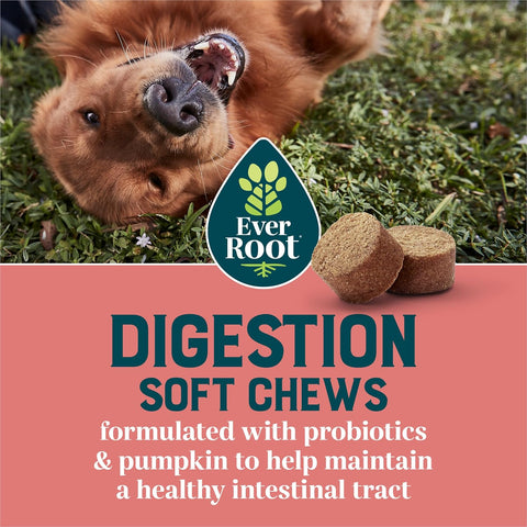 Purina Digestion Dog Supplements Soft Chews