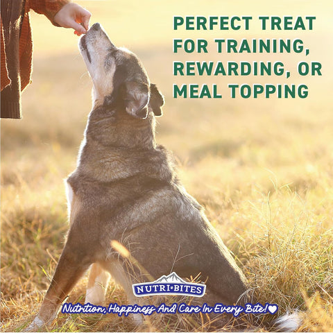 Nutri Bites Liver Treats for Dogs & Cats