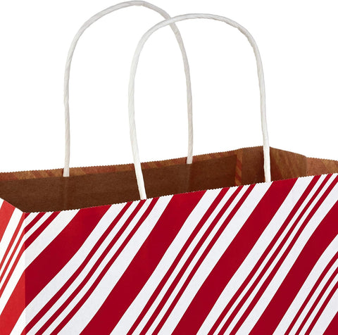 Hallmark 13" Large Christmas Gift Bag