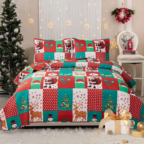 CHESITY Christmas Quilts Set Queen Size