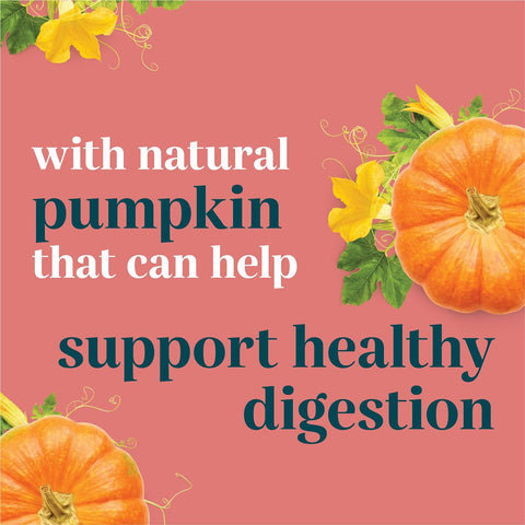 Purina Digestion Dog Supplements Soft Chews