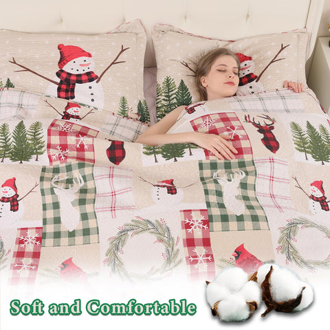 CHESITY Christmas Quilts Set Queen Size