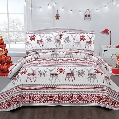 CHESITY Christmas Quilts Set Queen Size