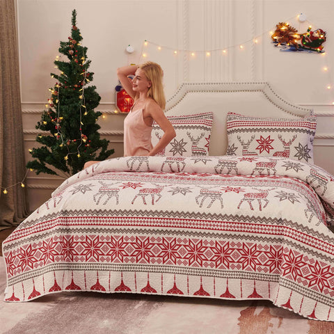 CHESITY Christmas Quilts Set Queen Size