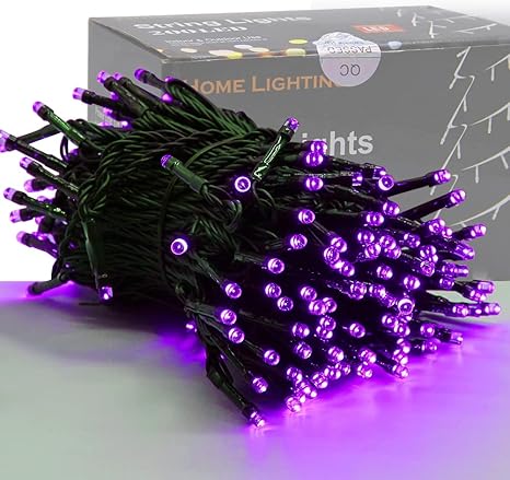 HOME LIGHTING 66ft Christmas Decorative Mini Lights