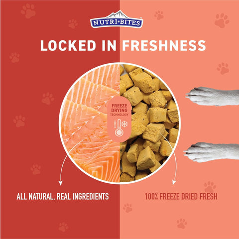 Nutri Bites Freeze Dried Salmon Dog Food