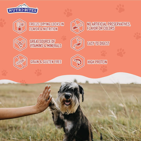 Nutri Bites Freeze Dried Salmon Dog Food