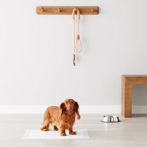 Dog and Puppy Pee Pads with
