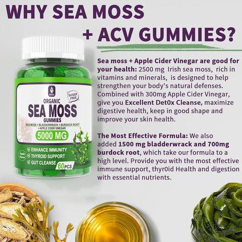 Sea Moss Supplement 5000mg | Sugar Free Sea Moss Gummies