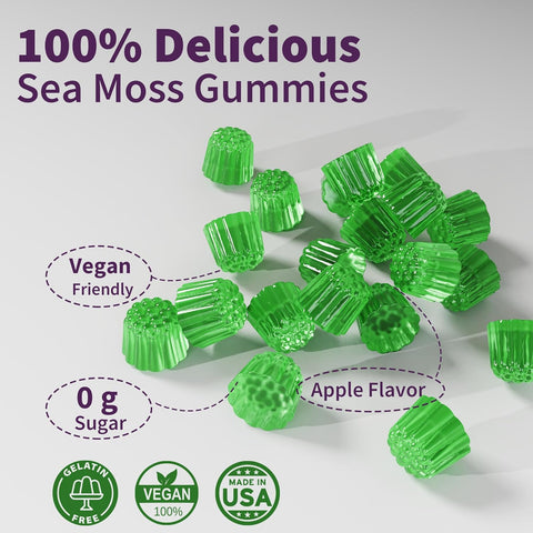 Sea Moss Supplement 5000mg | Sugar Free Sea Moss Gummies